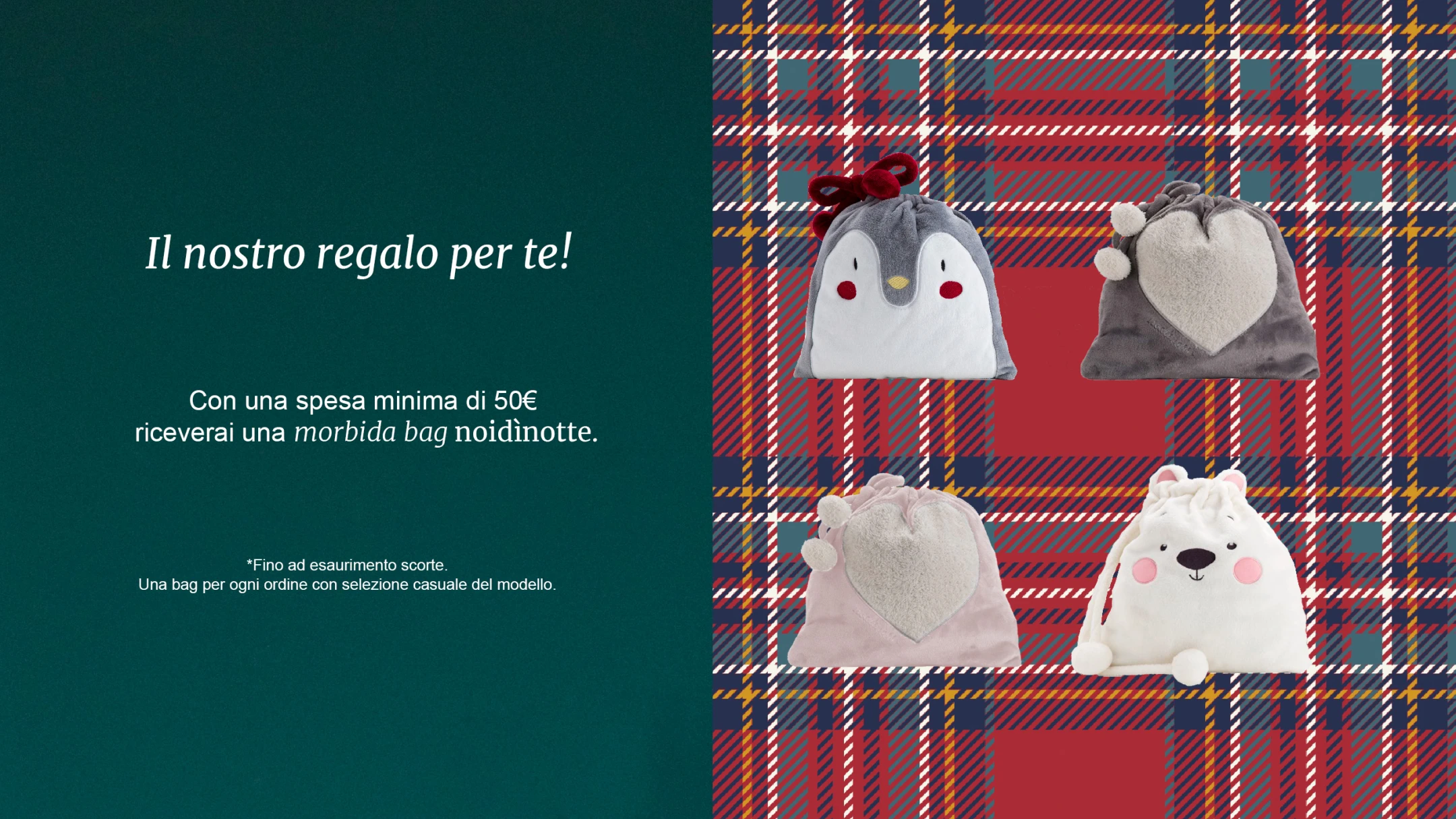 https://www.noidinotte.com/images/sections/2160x2160/1701960276-6571da54be13a.webp 